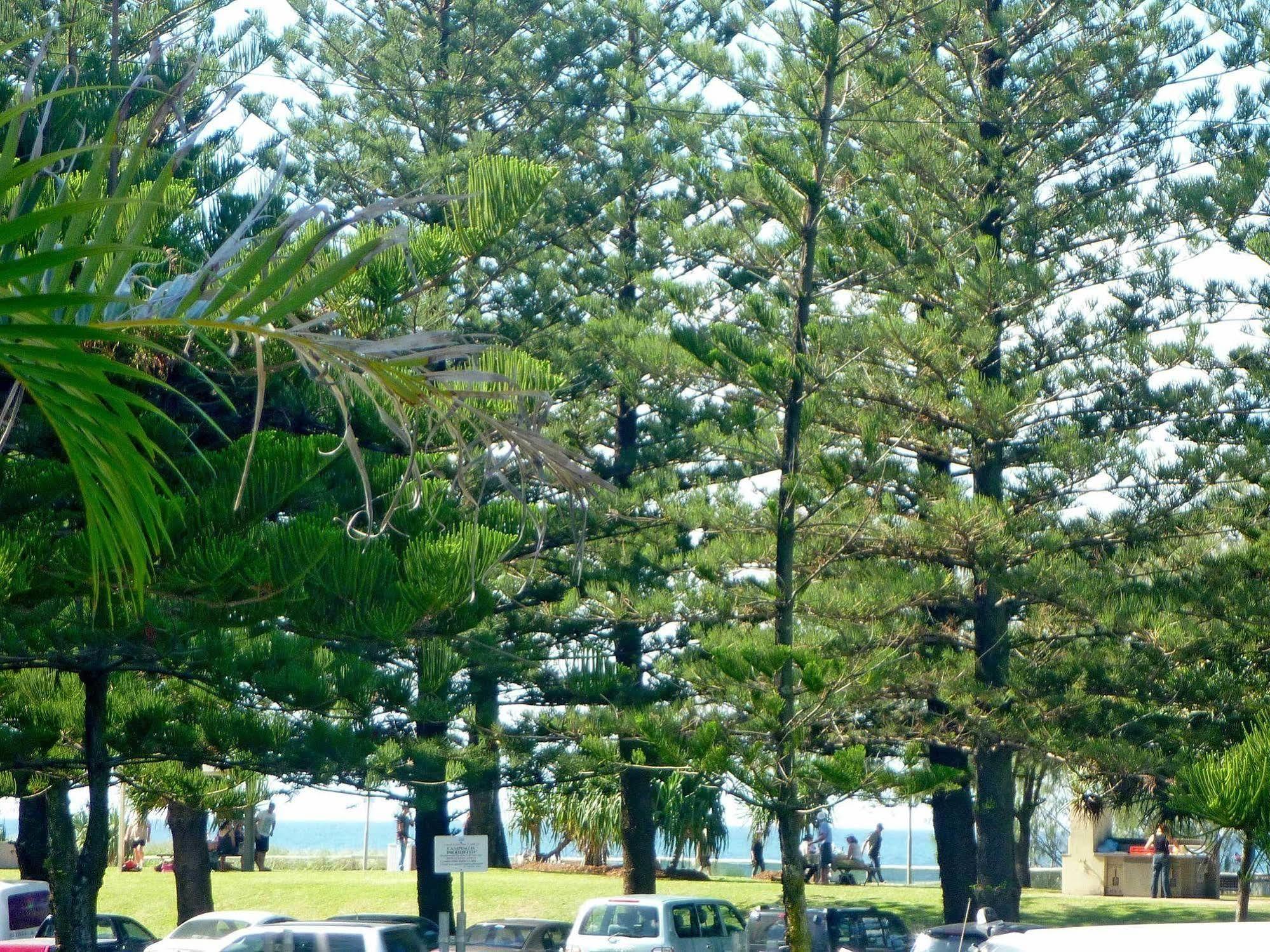 Main Beach Tourist Park Bagian luar foto
